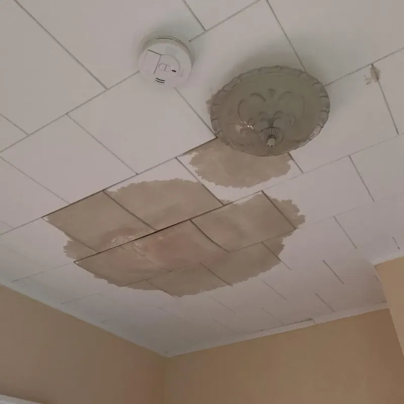 Ceiling Water Damage Repair in Tryon, NC