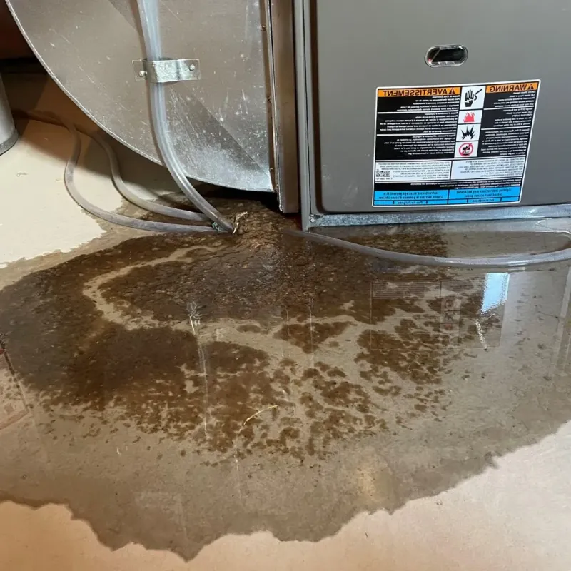 Pipe Burst and Leak Restoration in Tryon, NC